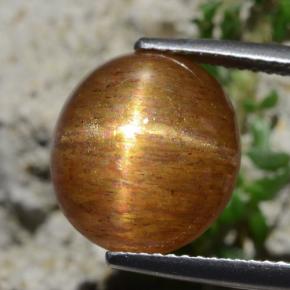 8.30カラットの天然ゴールドブラウンスターサンストーン、オーバルカット、オペーク