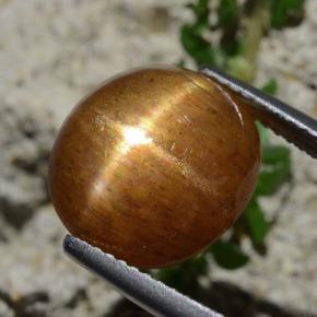 8.30カラットの天然ゴールドブラウンスターサンストーン、オーバルカット、オペーク