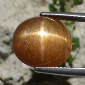 8.30カラットの天然ゴールドブラウンスターサンストーン、オーバルカット、オペーク