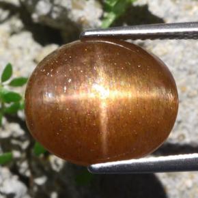 9.51カラットの天然ゴールドブラウンスターサンストーン、オーバルカット、オペーク