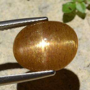 6.61カラットの天然ゴールドブラウンスターサンストーン、オーバルカット、オペーク