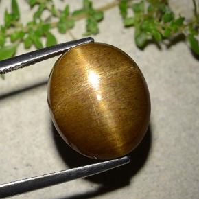 16.93カラットの天然ゴールドブラウンスターサンストーン、オーバルカット、オペーク