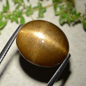 16.93カラットの天然ゴールドブラウンスターサンストーン、オーバルカット、オペーク