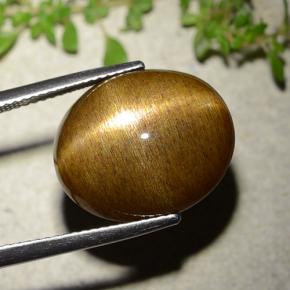 16.93カラットの天然ゴールドブラウンスターサンストーン、オーバルカット、オペーク