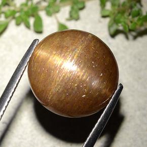 15.15カラットの天然ゴールドブラウンスターサンストーン、ラウンドカット、オペーク