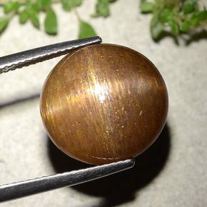 15.15カラットの天然ゴールドブラウンスターサンストーン、ラウンドカット、オペーク