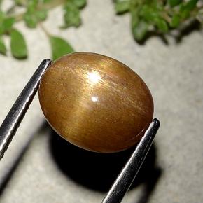 6.21カラットの天然ゴールドブラウンスターサンストーン、オーバルカット、オペーク