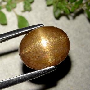 6.21カラットの天然ゴールドブラウンスターサンストーン、オーバルカット、オペーク