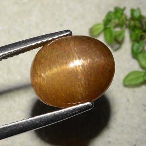 7.51カラットの天然ゴールドブラウンスターサンストーン、オーバルカット、オペーク