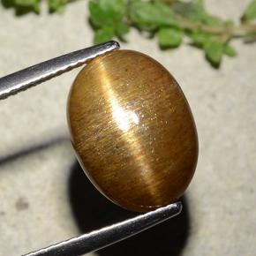 7.67カラットの天然ゴールドブラウンスターサンストーン、オーバルカット、オペーク