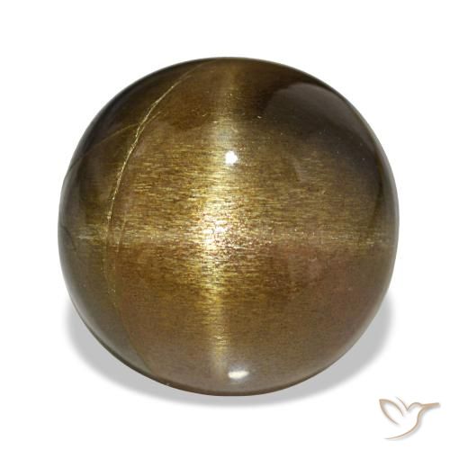 11.00カラットの天然ゴールドブラウンスターサンストーン、オーバルカット、オペーク