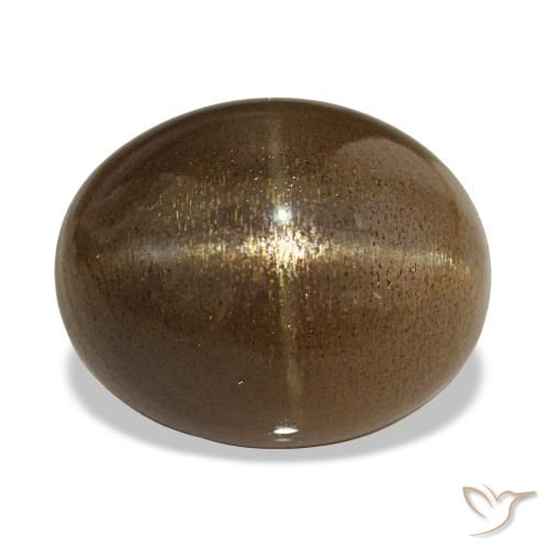 13.92ct コーヒーブラウン スターサンストーン, 楕円形, オペーク