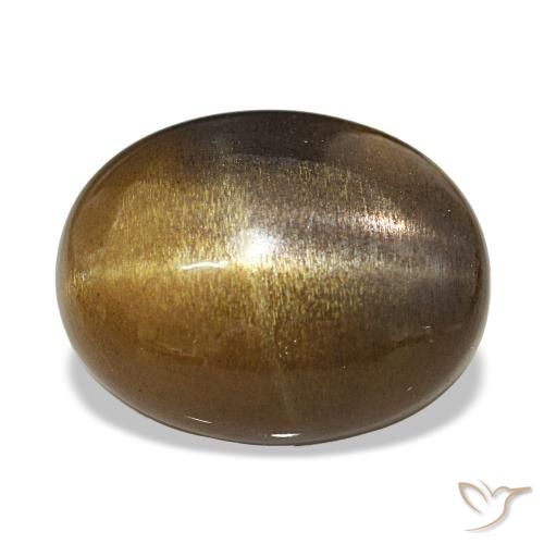 10.87ct ミディアムブラウン スターサンストーン, 楕円形, オペーク