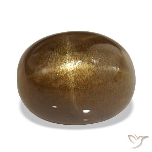 13.45カラットの天然ミディアムブラウンスターサンストーン、オーバルカット、オペーク