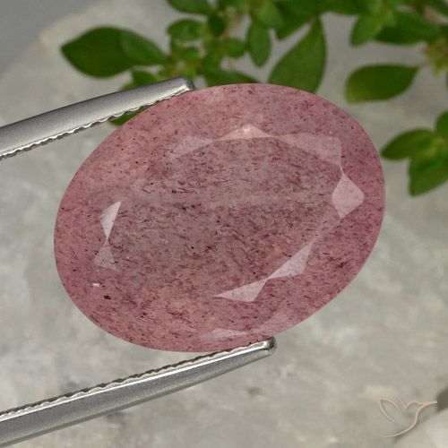 11.60ct 天然 ミディアムピンク ストロベリークォーツ, 楕円形, 半透明
