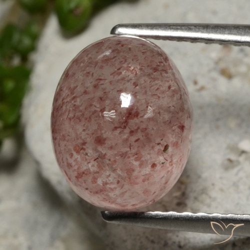 4.01ct 天然 ダークピンク ストロベリークォーツ, 楕円形, 半透明