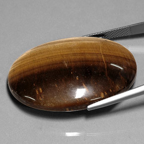 75.05カラットの天然ゴールドブラウンTiger's Eye（40.1×30 mm・オーバルカット）