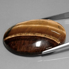 75.54カラットの天然ゴールドブラウンタイガーズアイ、オーバルカット、オペーク