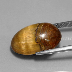 12.90カラットの天然ゴールドブラウンTiger's Eye（17.8×11.8 mm・オーバルカット）