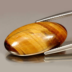 14.67カラットの天然ゴールドブラウンタイガーズアイ、オーバルカット、オペーク