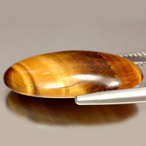 14.67カラットの天然ゴールドブラウンタイガーズアイ、オーバルカット、オペーク