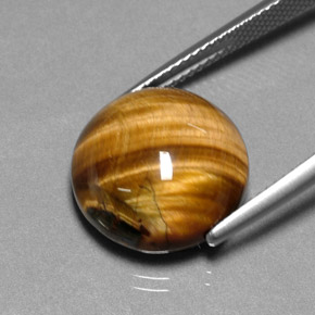 11.83カラットの天然ゴールドブラウンタイガーズアイ、ラウンドカット、オペーク