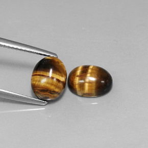 自然派の商品を探す ct ゴールドブラウン タイガーズアイ 宝石, オーバルカット, タイ からGemSelectで. 在庫あり、世界各国へ発送!