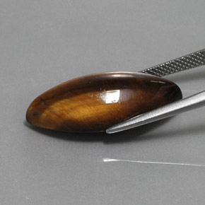 12.68カラットの天然ゴールドブラウンタイガーズアイ、マーキーズ、オペーク