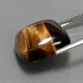 13.05カラットの天然ゴールドブラウンタイガーズアイ、クッションカット、オペーク