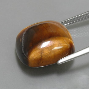 13.02カラットの天然ゴールドブラウンTiger's Eye（15.1×15.1 mm・クッションカット）