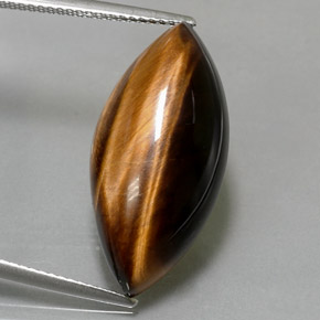 12.99カラットの天然ゴールドブラウンTiger's Eye（24.8×12 mm・マーキス）