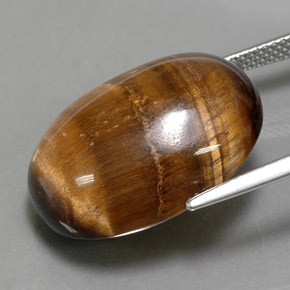 24.80カラットの天然ゴールドブラウンTiger's Eye（21.7×16.8 mm・オーバルカット）