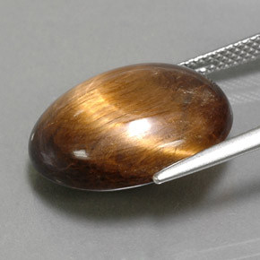 14.06カラットの天然ゴールドタイガーズアイ、オーバルカット、オペーク