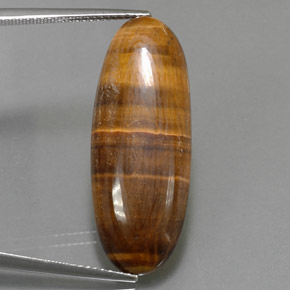 18.16カラットの天然ゴールドブラウンTiger's Eye（31.5×12.1 mm・オーバルカット）