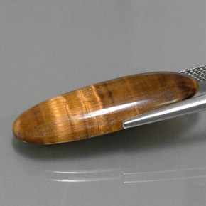 18.16カラットの天然ゴールドブラウンTiger's Eye（31.5×12.1 mm・オーバルカット）