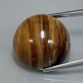 36.50カラットの天然ウォームブラウンTiger's Eye（20.13 mm・ラウンドカット）