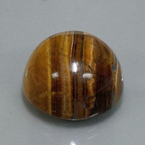 36.50カラットの天然ウォームブラウンTiger's Eye（20.13 mm・ラウンドカット）