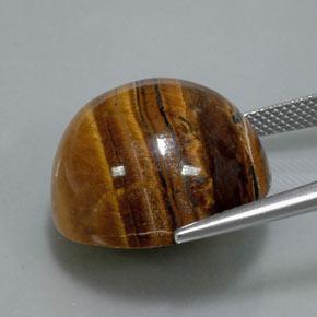 36.50カラットの天然ウォームブラウンTiger's Eye（20.13 mm・ラウンドカット）