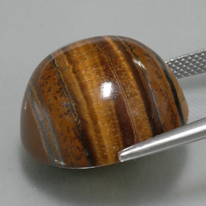 38.29カラットの天然ゴールドブラウンタイガーズアイ、ラウンドカット、オペーク