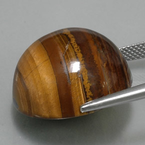 36.89カラットの天然ゴールドブラウンTiger's Eye（20.18 mm・ラウンドカット）