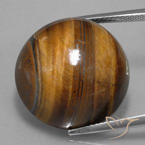 36.45カラットの天然ウォームブラウンタイガーズアイ、ラウンドカット、オペーク