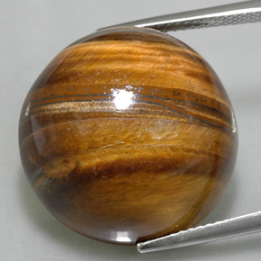 37.73カラットの天然ゴールドブラウンタイガーズアイ、ラウンドカット、オペーク