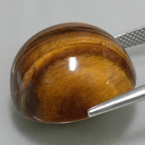 37.73カラットの天然ゴールドブラウンタイガーズアイ、ラウンドカット、オペーク