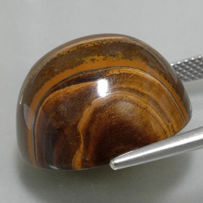 36.02カラットの天然ゴールドブラウンタイガーズアイ、ラウンドカット、オペーク