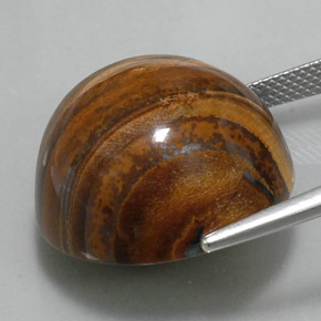 36.56カラットの天然ゴールドブラウンTiger's Eye（20.26 mm・ラウンドカット）