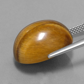 16.78カラットの天然ゴールドブラウンタイガーズアイ、オーバルカット、オペーク