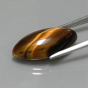 9.18カラットの天然ゴールドブラウンタイガーズアイ、マーキーズ、オペーク