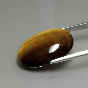 20.21カラットの天然ゴールドブラウンTiger's Eye（24.7×16.7 mm・オーバルカット）