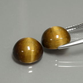 自然派の商品を探す ct ゴールドブラウン タイガーズアイ 宝石, ラウンドカット, タイ からGemSelectで. 在庫あり、世界各国へ発送!