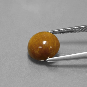 3.69カラットの天然ゴールドブラウンTiger's Eye（10.06 mm・ラウンドカット）
